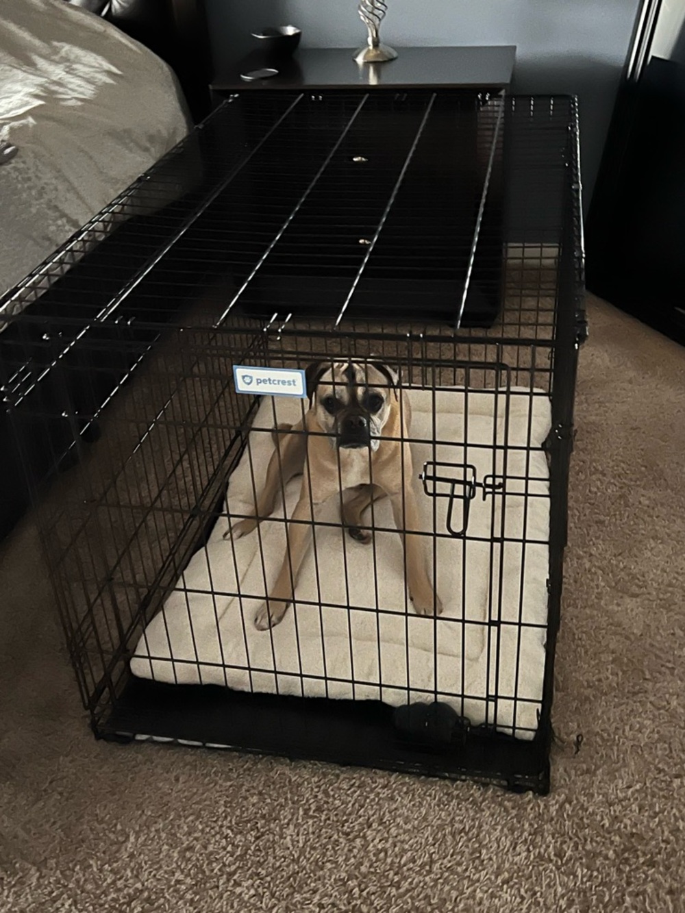 Petcrest Black Wire Pet Crate